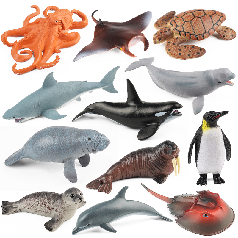 Kids Without Education - Oenux Sea Life Animals Octopus Whale