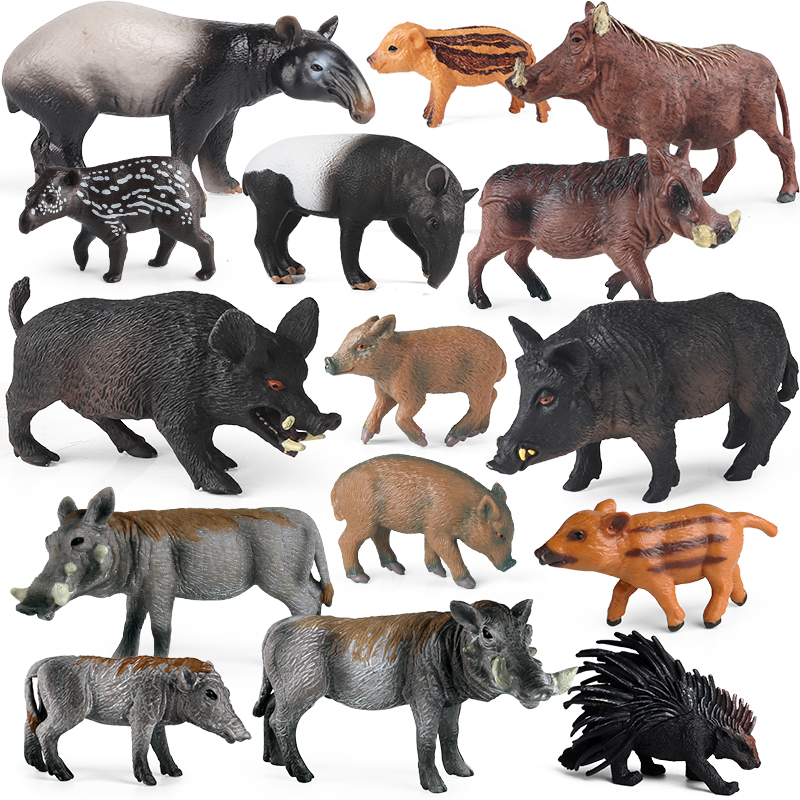 Kids Without Education - Oenux Wild boar Tapirus Indicus Porcupine