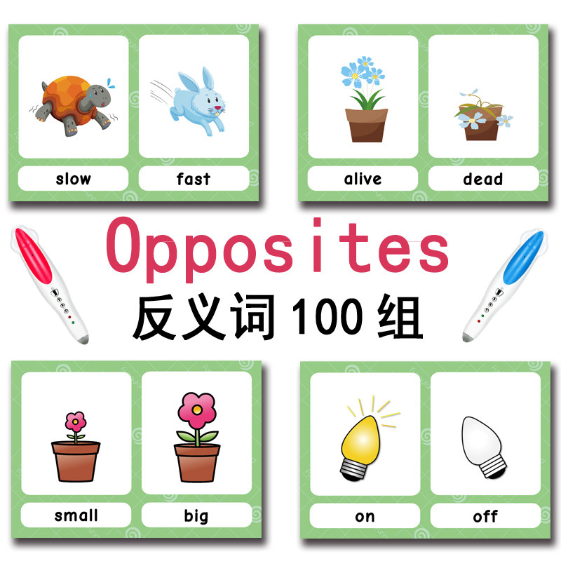 The 100 Groups Opposites Flash - Kids Education Learning 리뷰 및 가격
