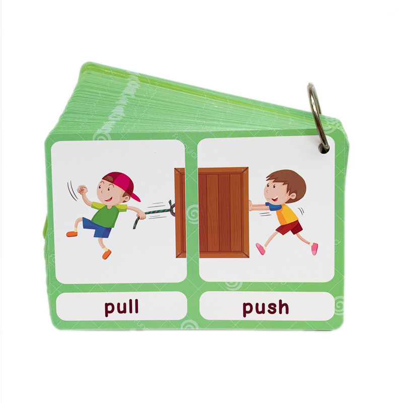 The 100 Groups Opposites Flash - Kids Education Learning 리뷰 및 가격