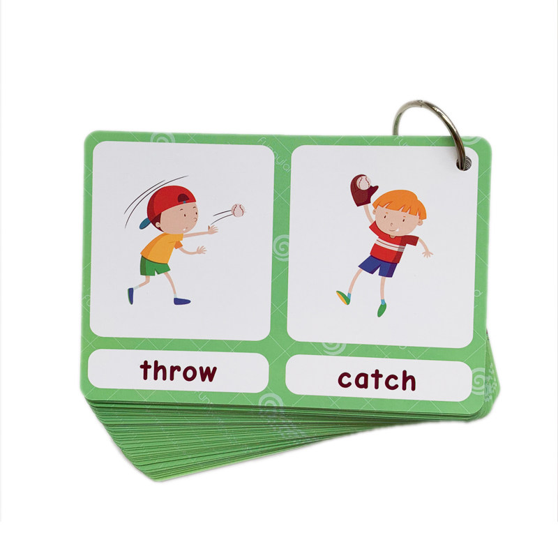 The 100 Groups Opposites Flash - Kids Education Learning 리뷰 및 가격