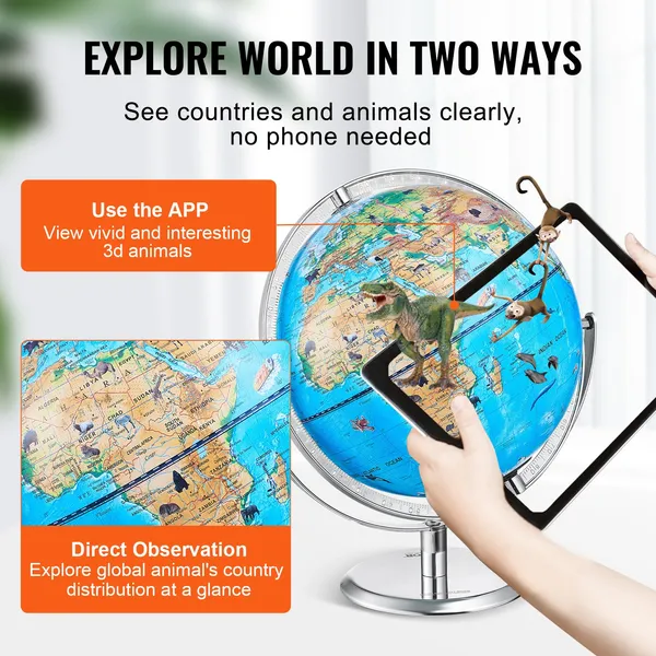 VEVOR Educational Globe for Ki - Globe Interactive Light 리뷰 및 가격