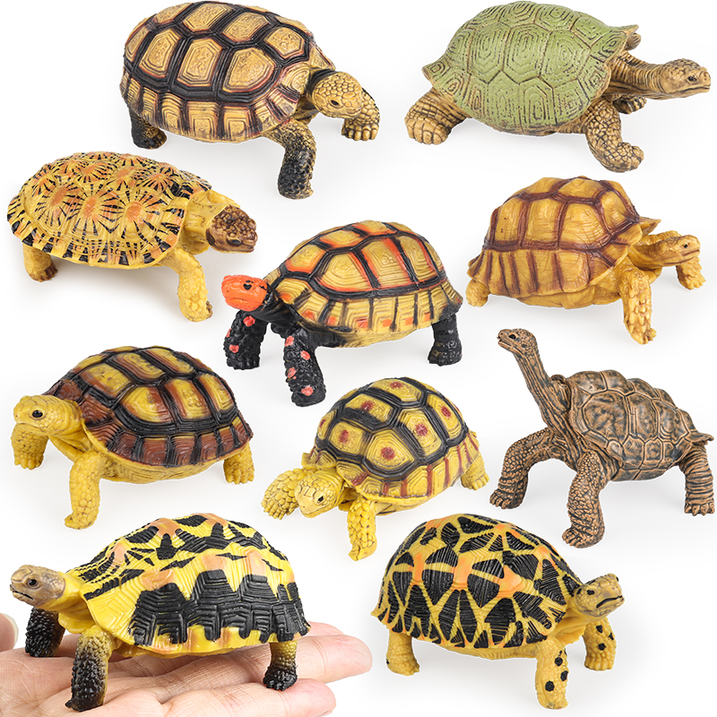 Oenux Reptile Animals Star Tur - Kids Without Education 리뷰 및 가격