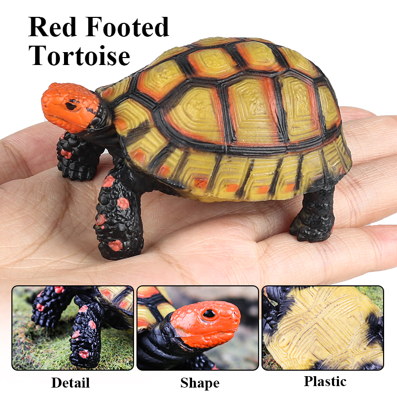 Oenux Reptile Animals Star Tur - Kids Without Education 리뷰 및 가격