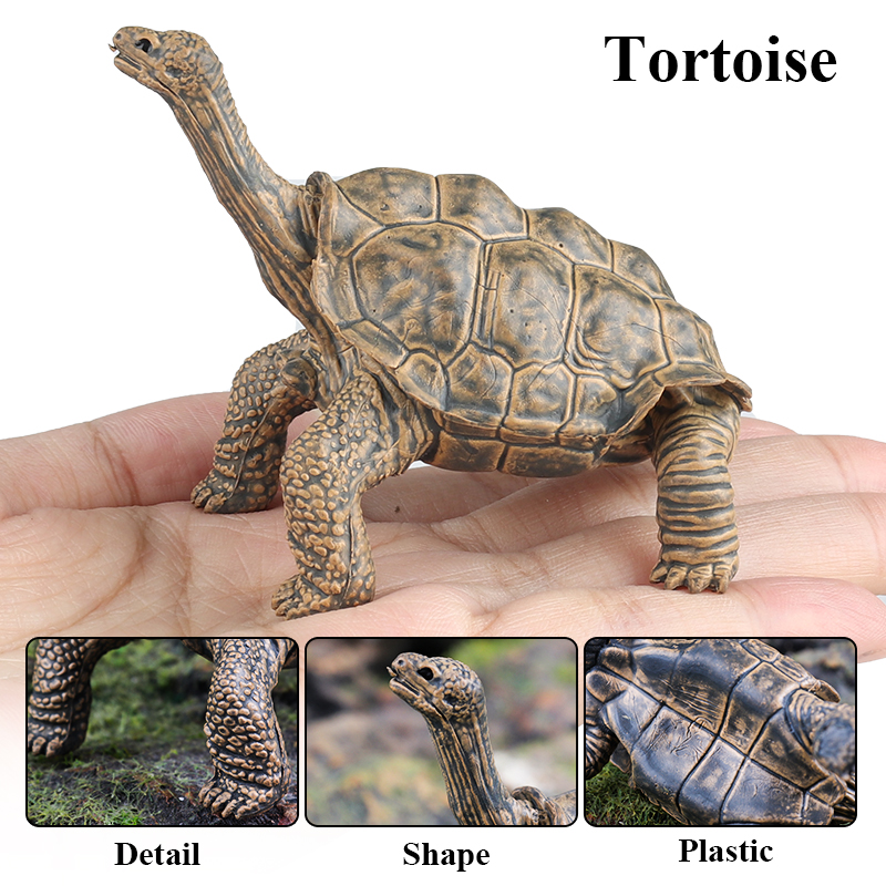 Oenux Reptile Animals Star Tur - Kids Without Education 리뷰 및 가격