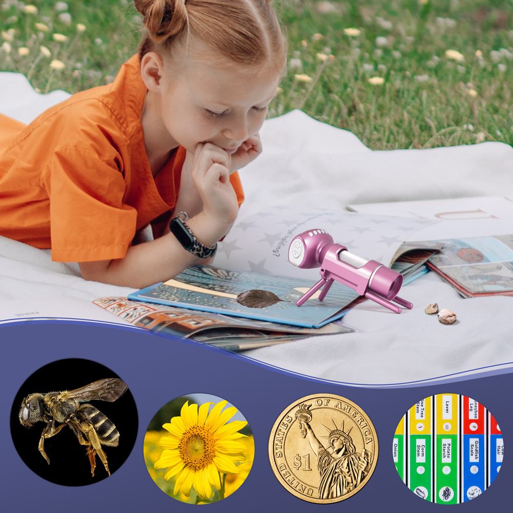 Andonstar 50x-300X LCD Digital - Kids Definition Of Education 리뷰 및 가격