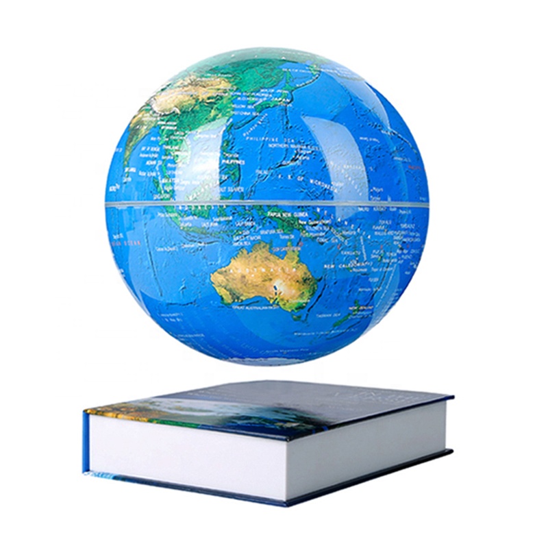 Fashion Gift 8 Inch 20cm World - Globe Interactive Light 리뷰 및 가격