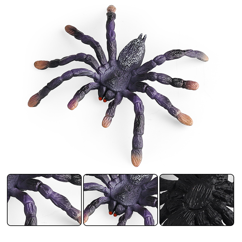 Oenux Insect Animals Model Spi - Kids Without Education 리뷰 및 가격