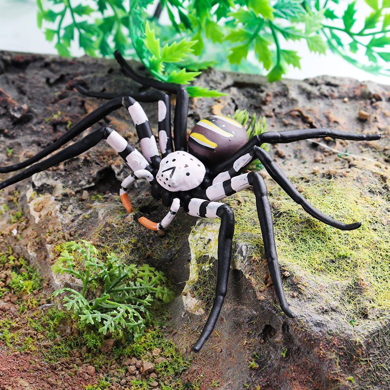 Oenux Insect Animals Model Spi - Kids Without Education 리뷰 및 가격