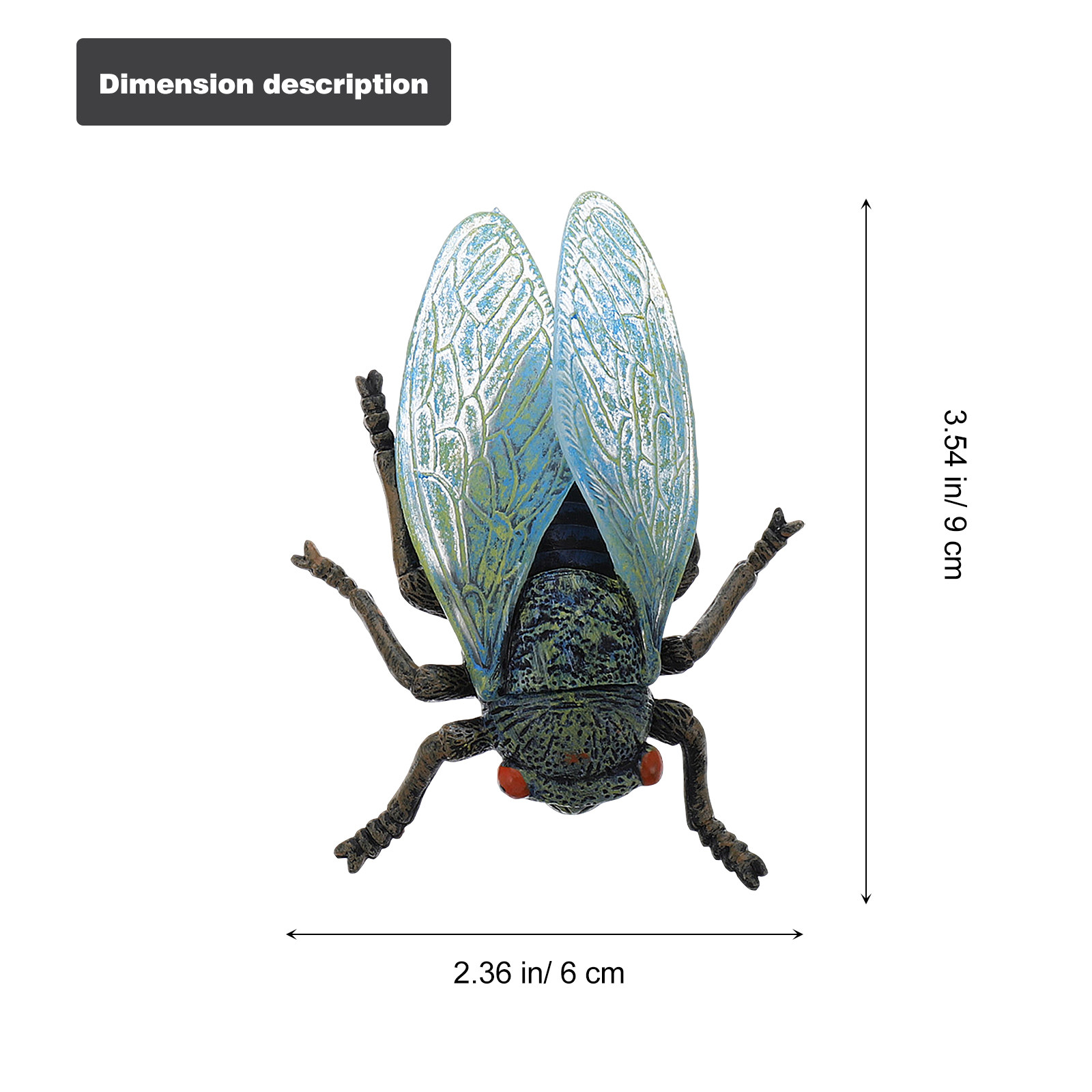 1Set Simulation Cicada Growth  - Kids Education Learning 리뷰 및 가격
