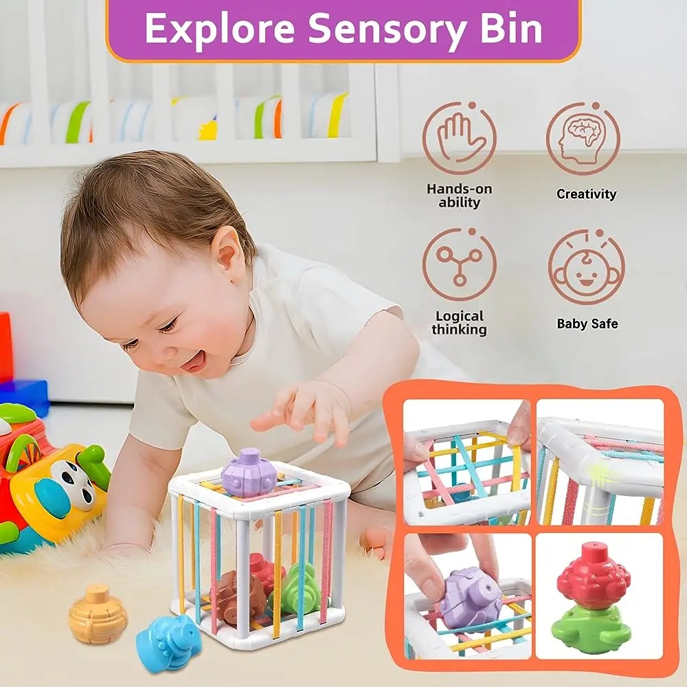 Rainbow Colorful Montessori Sh - Kids Home Education 리뷰 및 가격