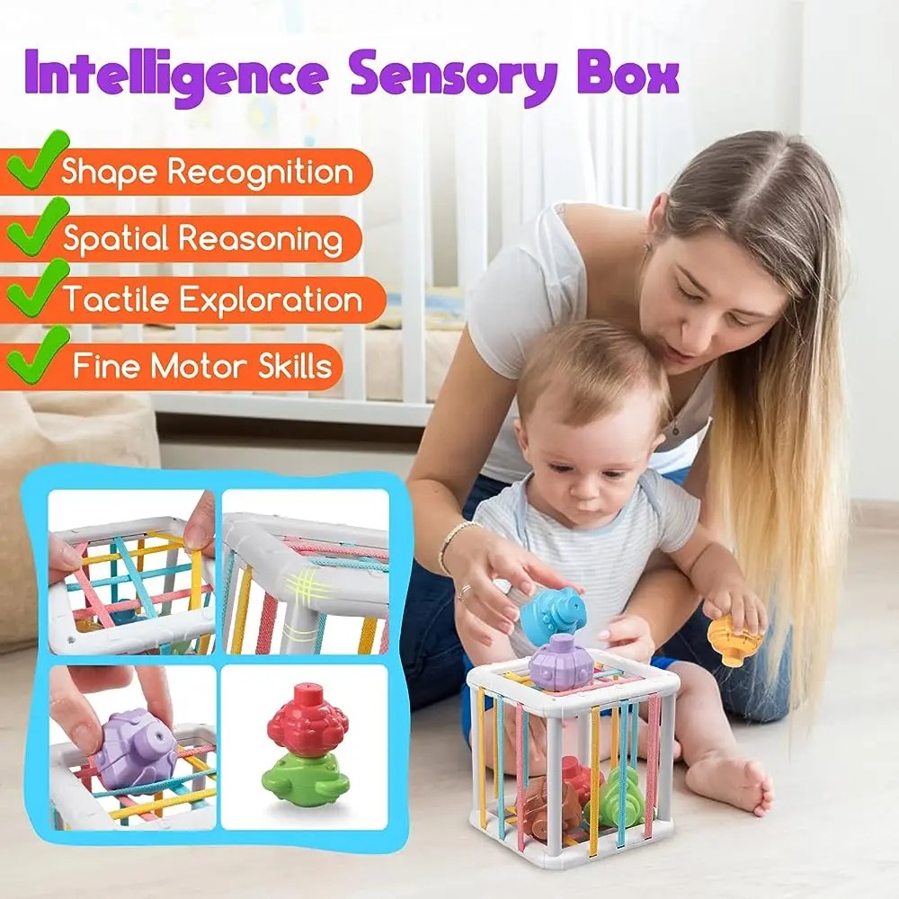 Rainbow Colorful Montessori Sh - Kids Home Education 리뷰 및 가격