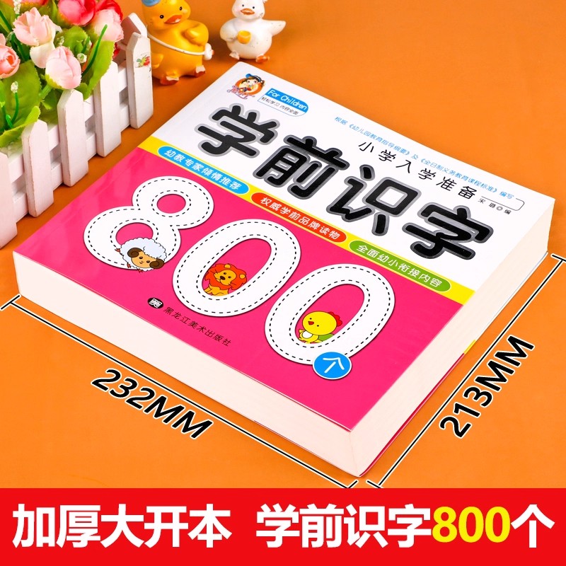Preschool Literacy: 800 Chines - Kids Education Learning 리뷰 및 가격