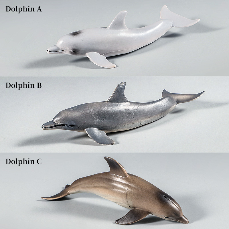 Ocean Marine Animal Underwater - Kids Without Education 리뷰 및 가격