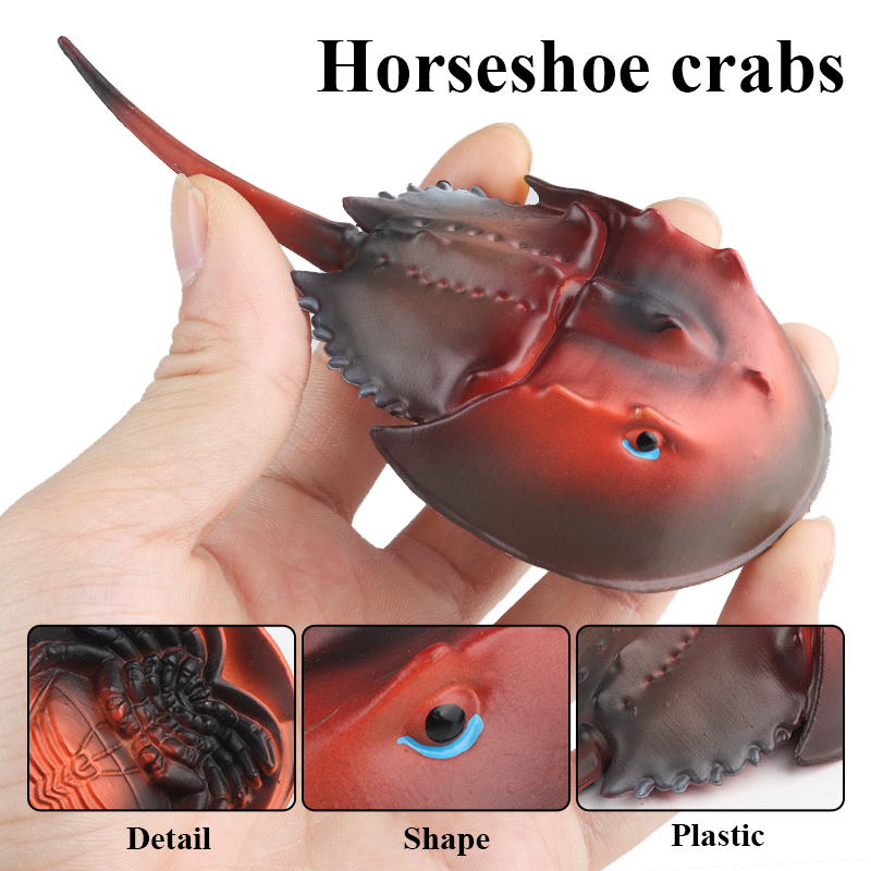 Oenux Sea Life Animals Octopus - Kids Without Education 리뷰 및 가격