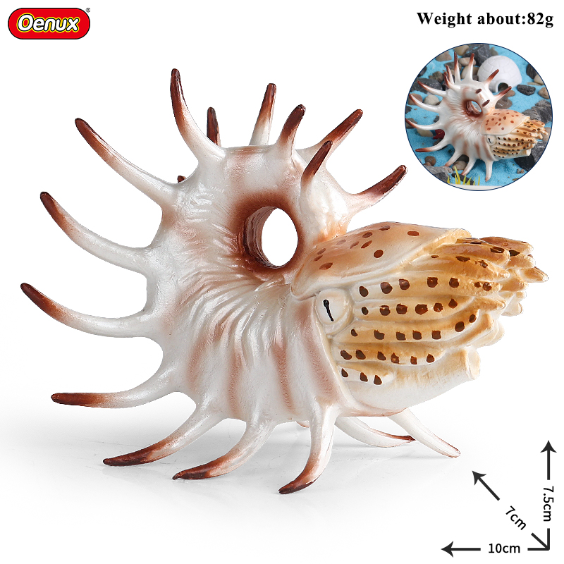 Oenux Sea Life Animals Coral O - Kids Without Education 리뷰 및 가격