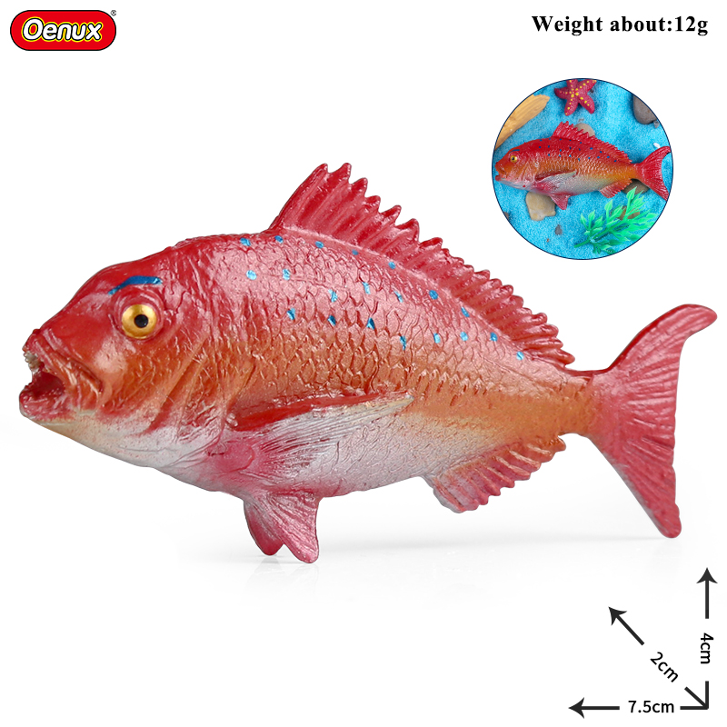 Oenux Sea Life Animals Coral O - Kids Without Education 리뷰 및 가격