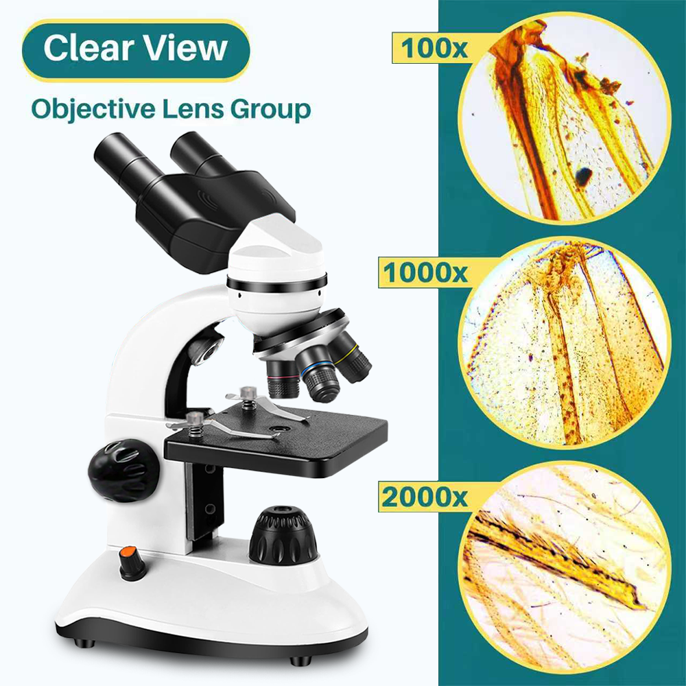 Binocular Microscope, High Def - Kids Definition Of Education 리뷰 및 가격