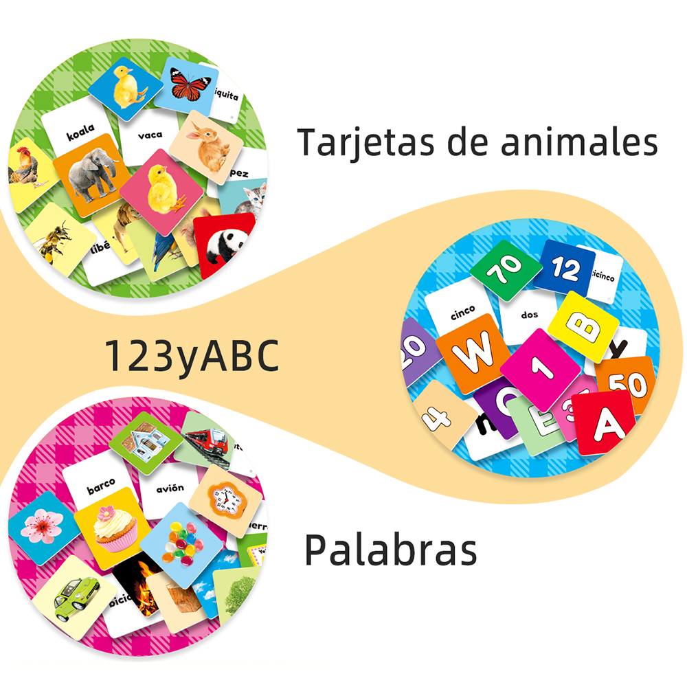 Different types of Spanish lea - Kids Education Card 리뷰 및 가격