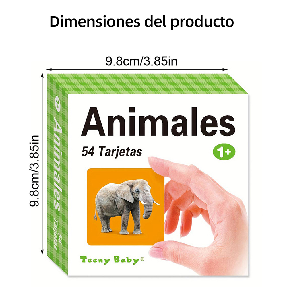 Different types of Spanish lea - Kids Education Card 리뷰 및 가격
