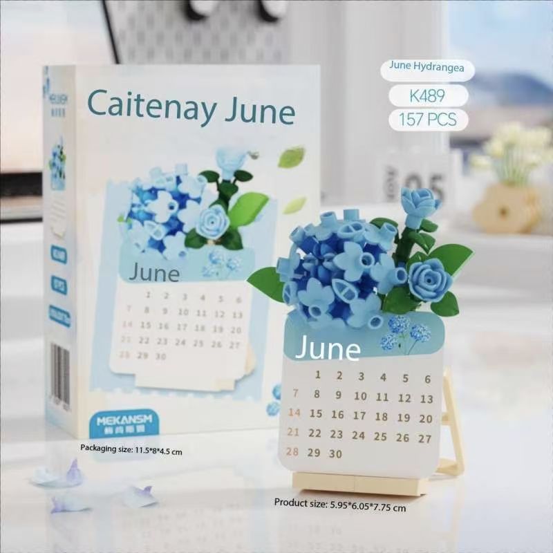 2026 Succulent Plant Building  - Kids Home Education 리뷰 및 가격