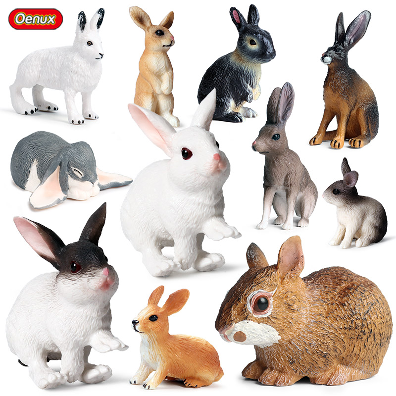 Oenux Lovely Farm Rabbit Bunny - Kids Without Education 리뷰 및 가격