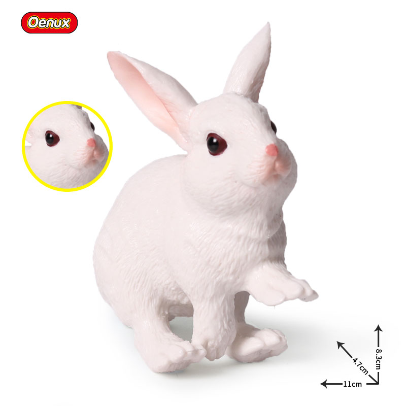 Oenux Lovely Farm Rabbit Bunny - Kids Without Education 리뷰 및 가격