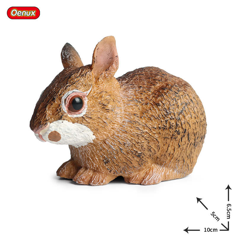 Oenux Lovely Farm Rabbit Bunny - Kids Without Education 리뷰 및 가격