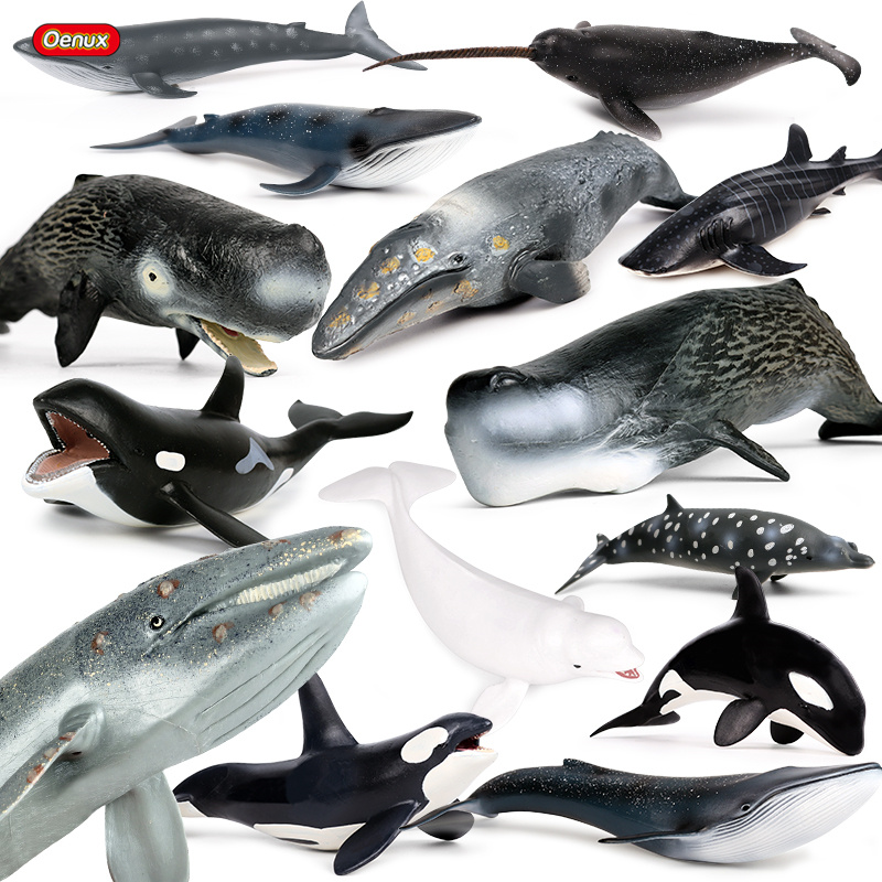 Oenux Ocean Animal Savage Mega - Kids Without Education 리뷰 및 가격
