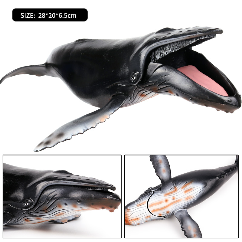 Oenux Ocean Animal Savage Mega - Kids Without Education 리뷰 및 가격