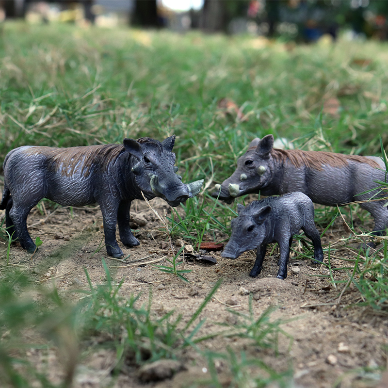 Oenux Wild boar Tapirus Indicu - Kids Without Education 리뷰 및 가격
