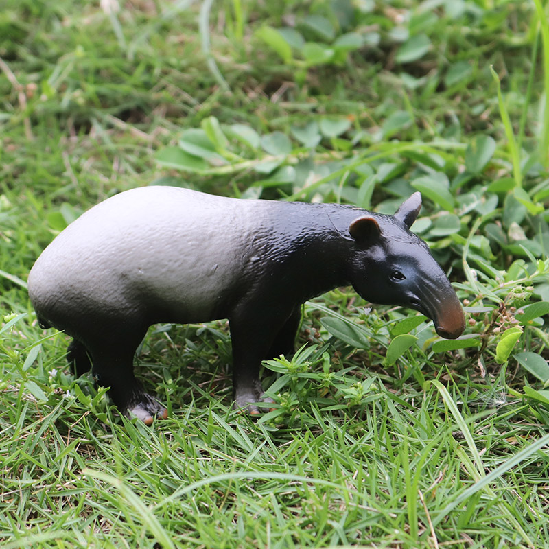 Oenux Wild boar Tapirus Indicu - Kids Without Education 리뷰 및 가격